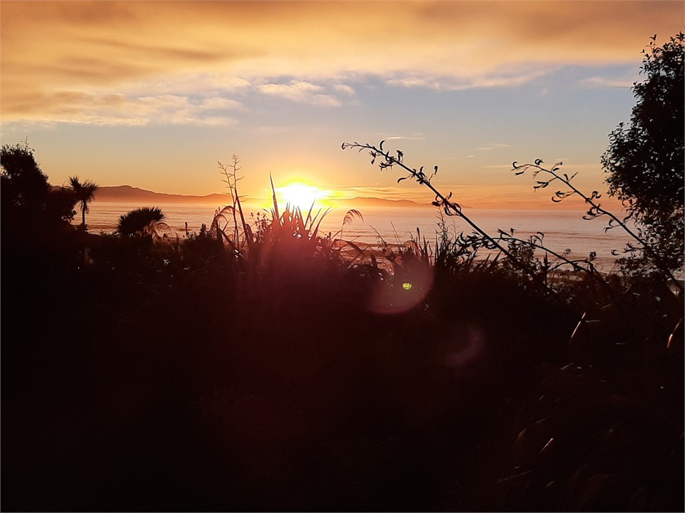 Sunrise from sunroom