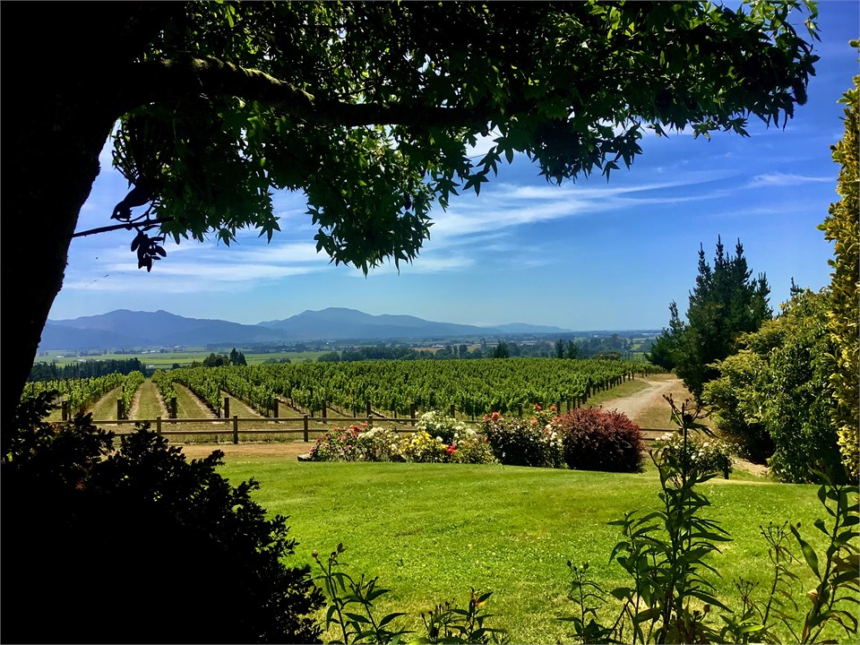 From our garden, which is near the cottage