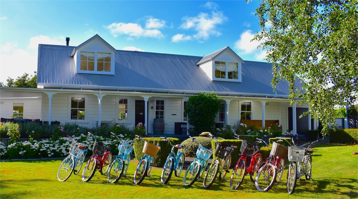 Vineyard Cruiser bikes