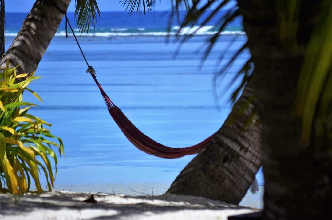 Relax in a hammock