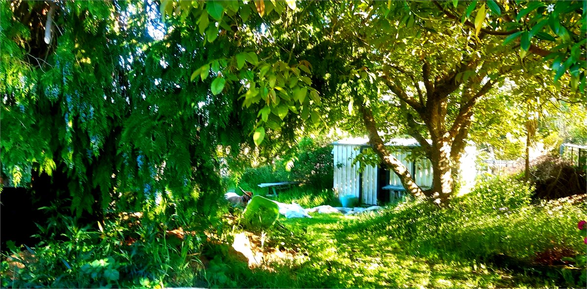 Out to the bottom Gate to domain and beach.