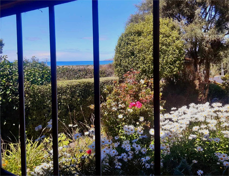 View to Beach from Kitchen