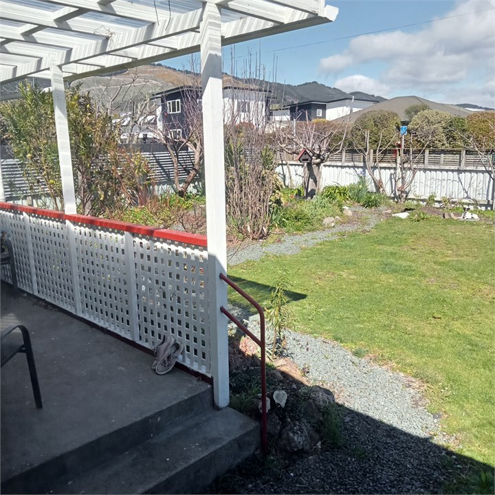 Looking out the dining room window to garden