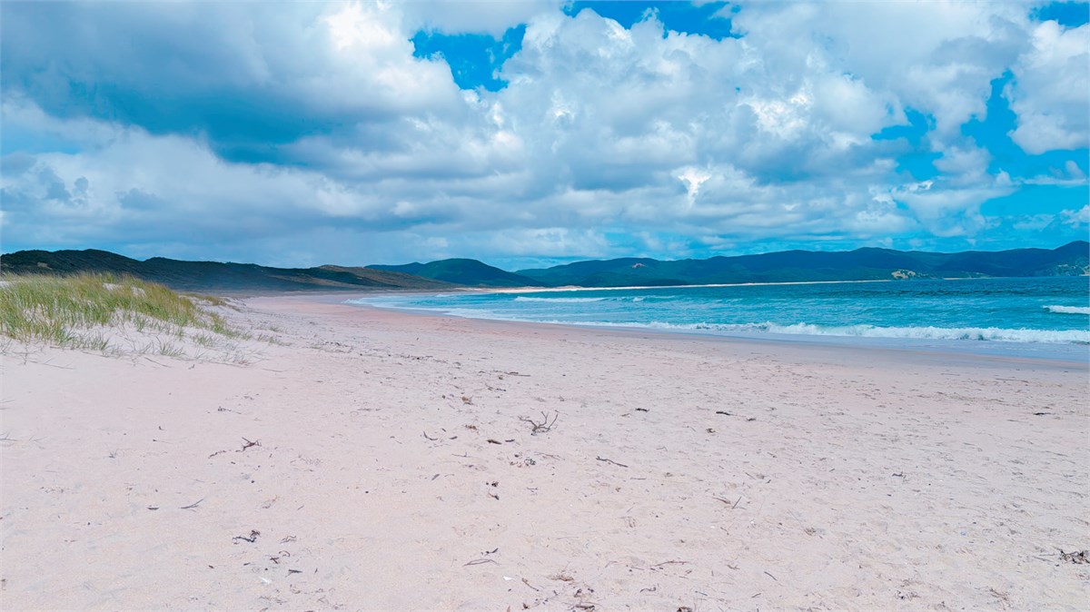 Spirits Bay/Piwhane.