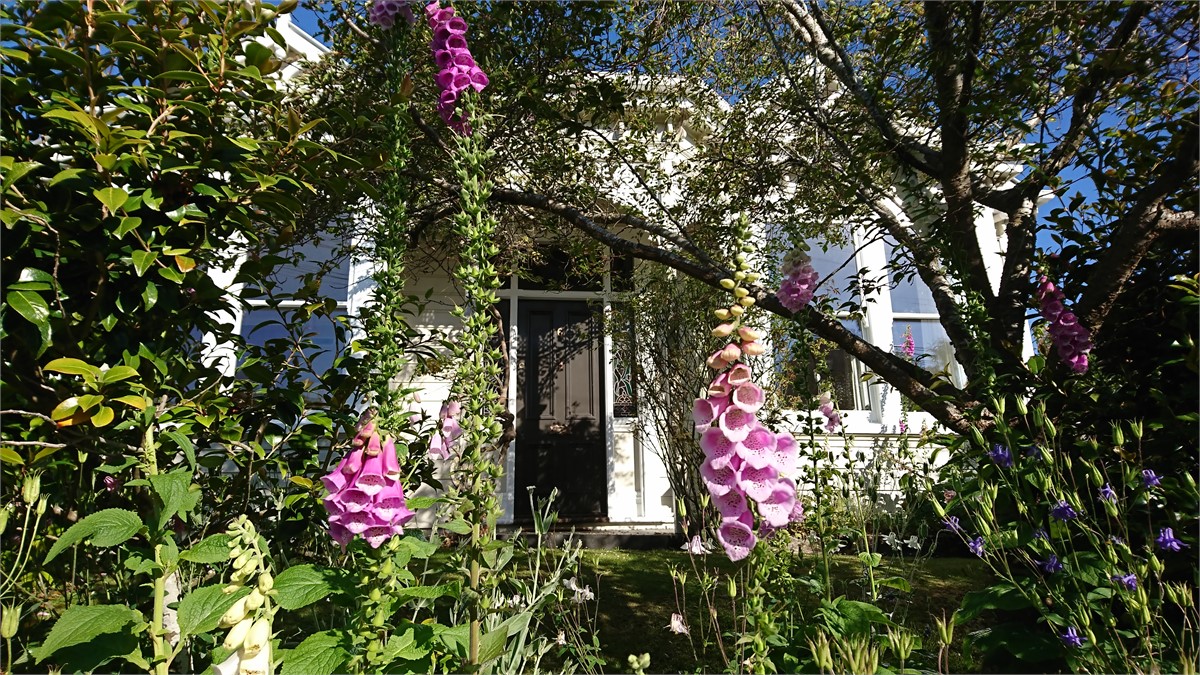 Rhododendrons and roses in garden