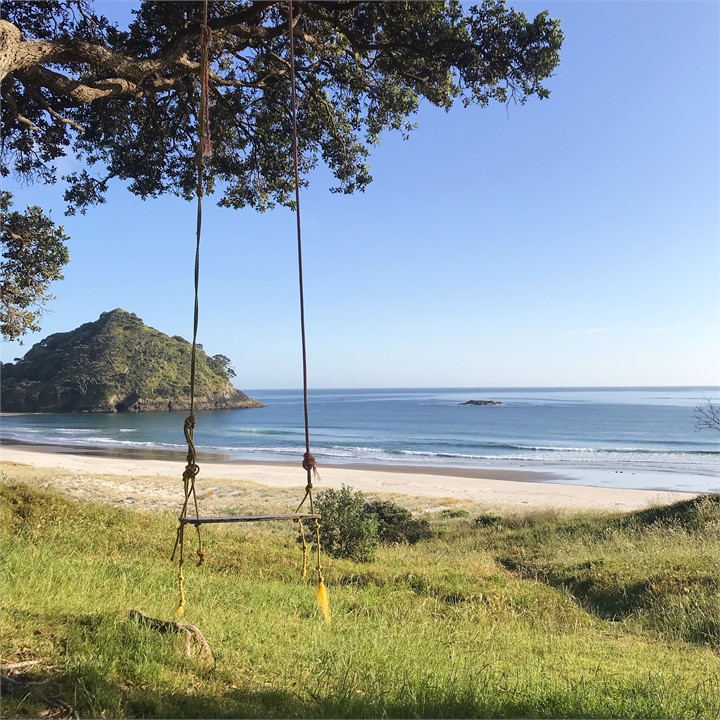 Pohutukawa Swing