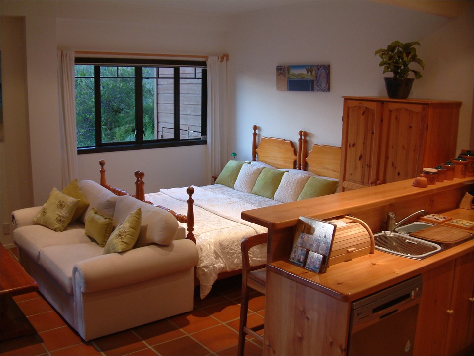 Super King or 2 super king singles on ground level