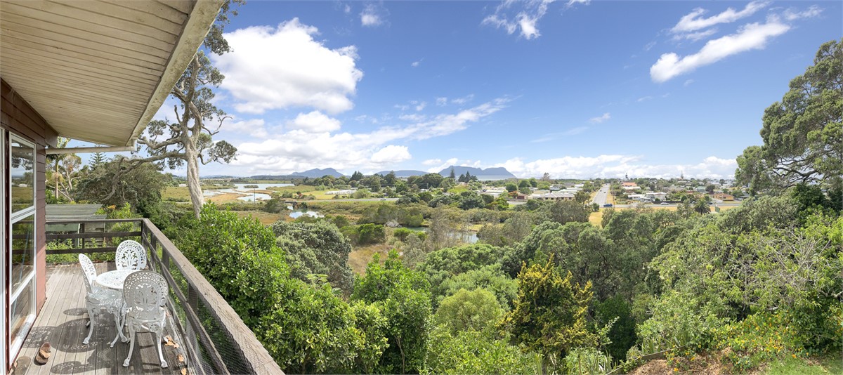 The view and the deck