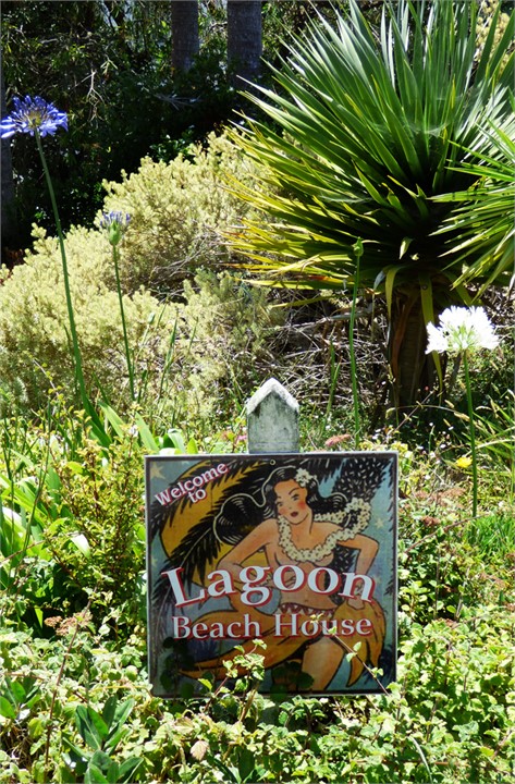 Sign on drive to look for