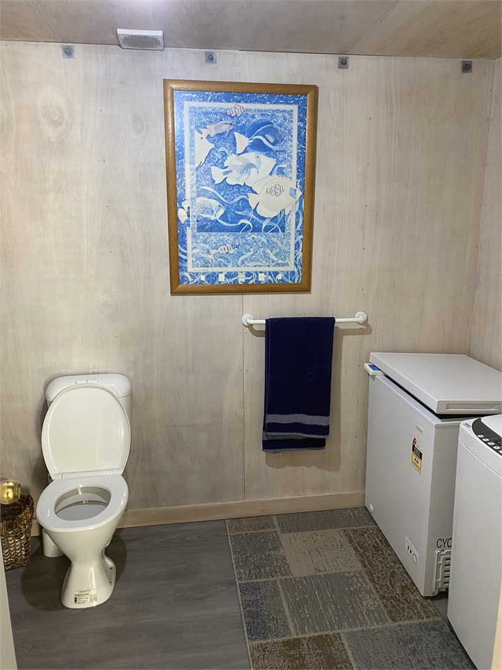 Downstairs bathroom/laundry