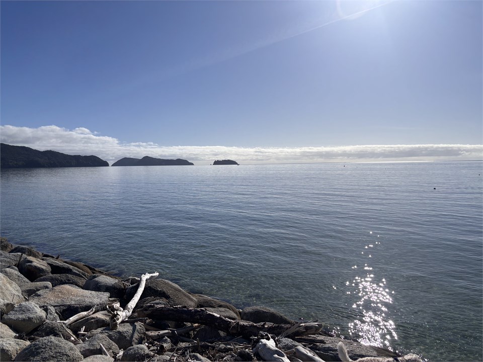 Waterfront, high tide