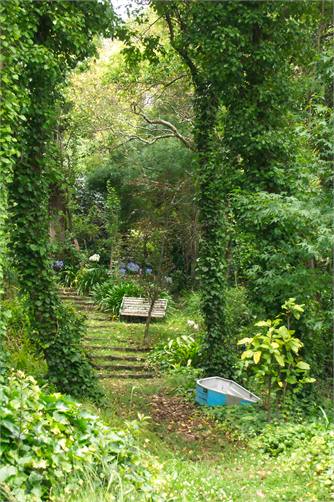 One of the beautiful sights in Orakei Basin
