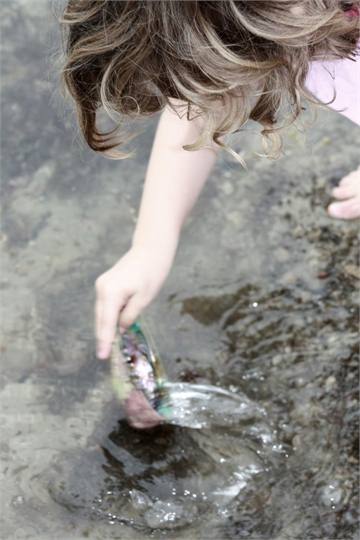 Checking out the rockpools