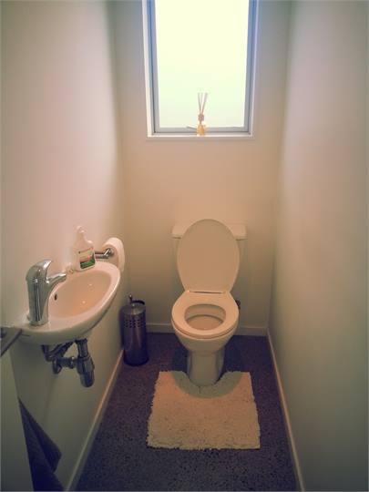 Toilet downstairs