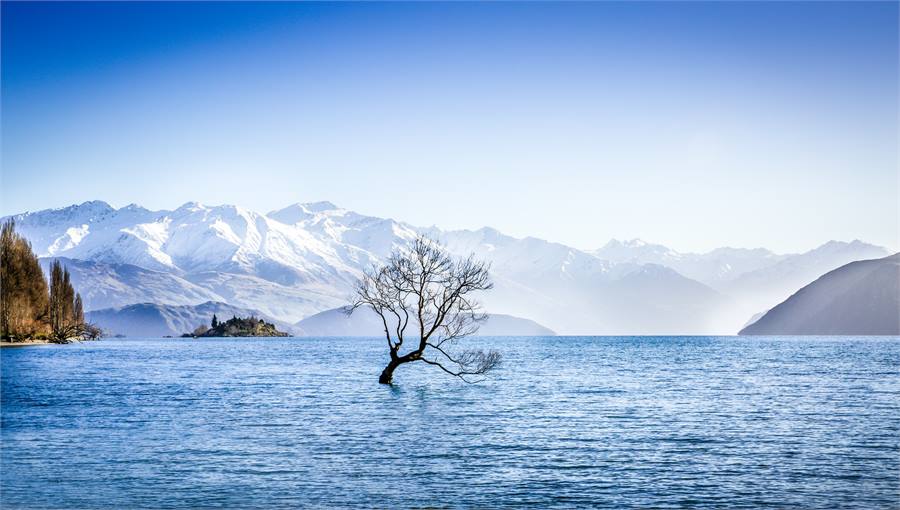 Right next to 'That Wanaka Tree'
