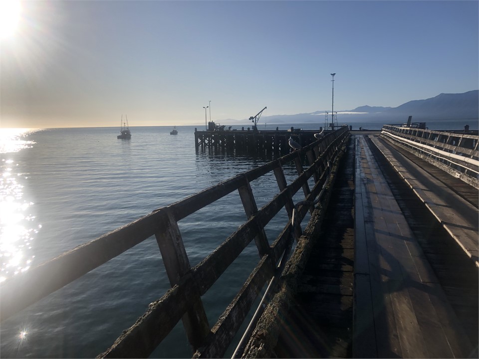 Jackson Bay Wharf