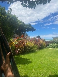 View from Hammock