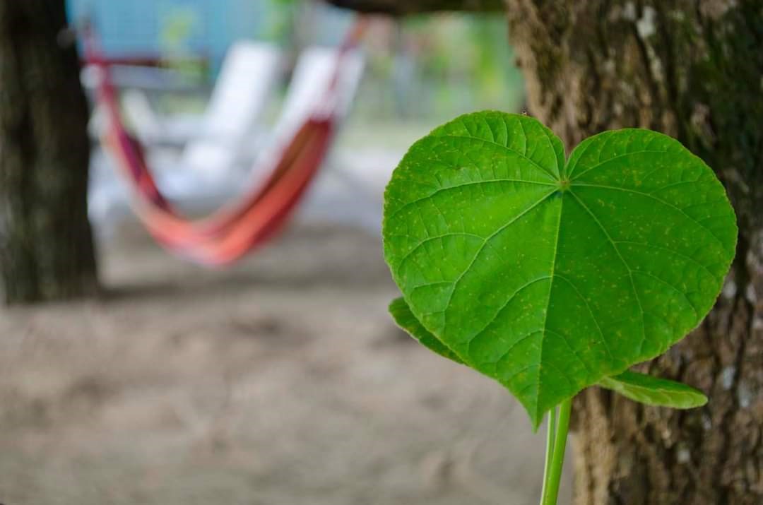 We love relaxing at Jenny's