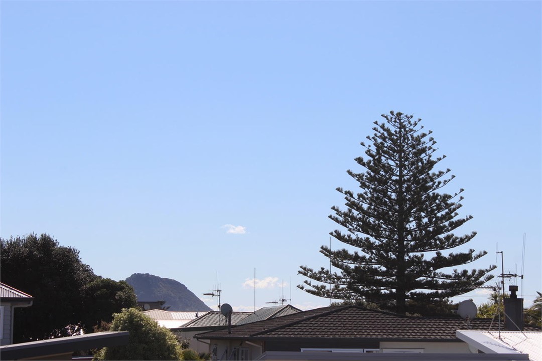 View from deck to Mount Maunganui