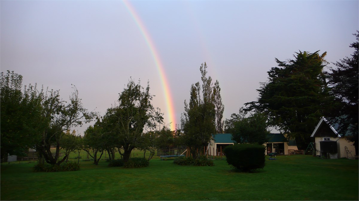 rainbow in  orchard