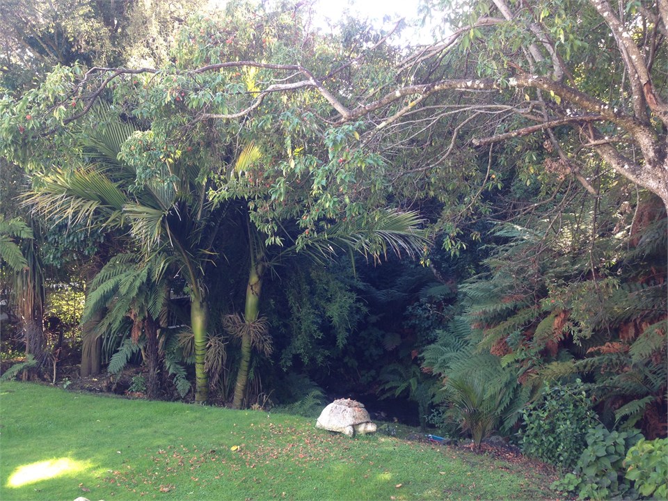 Looking towards Stream native garden