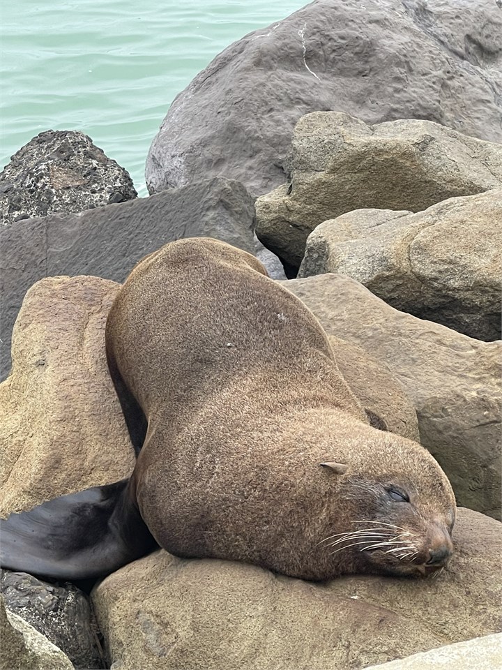 Friend at end of Wharfe