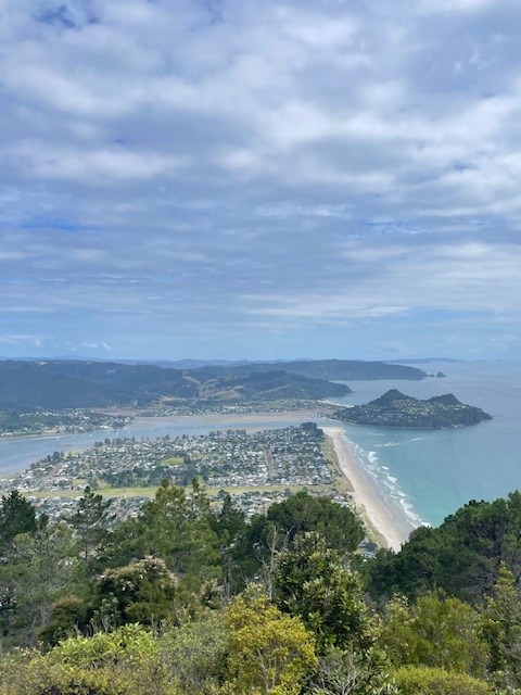 VIEW FROM MT PAUANUI SUMMT WALK