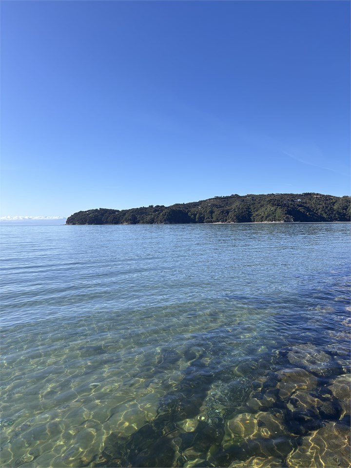 Waterfront, high tide