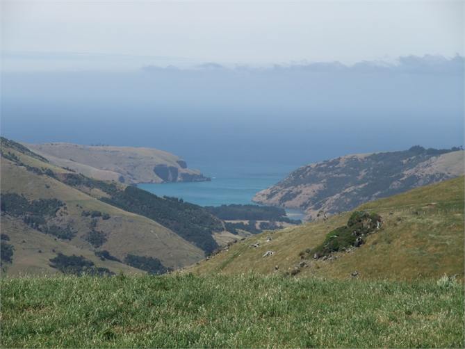 View from Summit Road