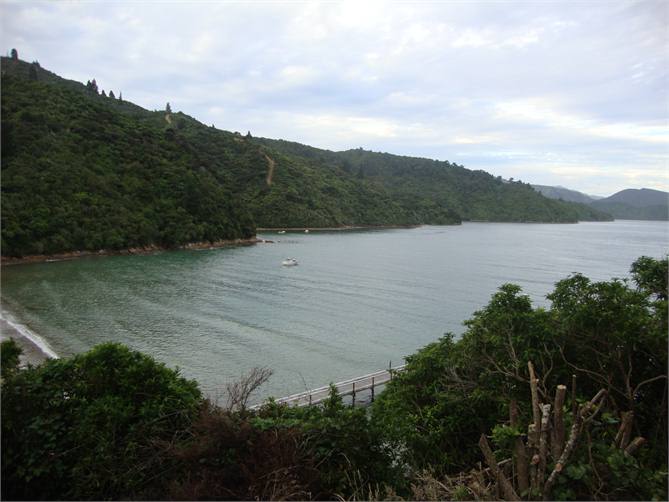 Looking down from areas above house to wharf