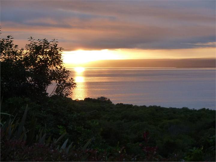 Enjoy this with a cup of coffee!