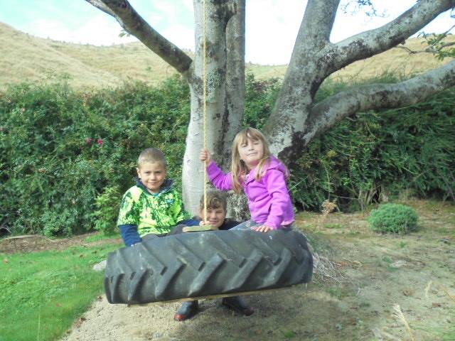 Tyre Swing in garden