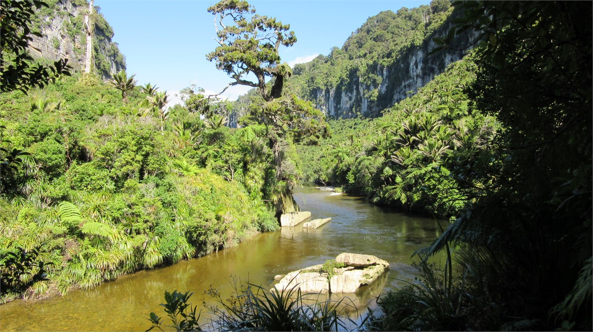 Pararoa River, Punakaiki