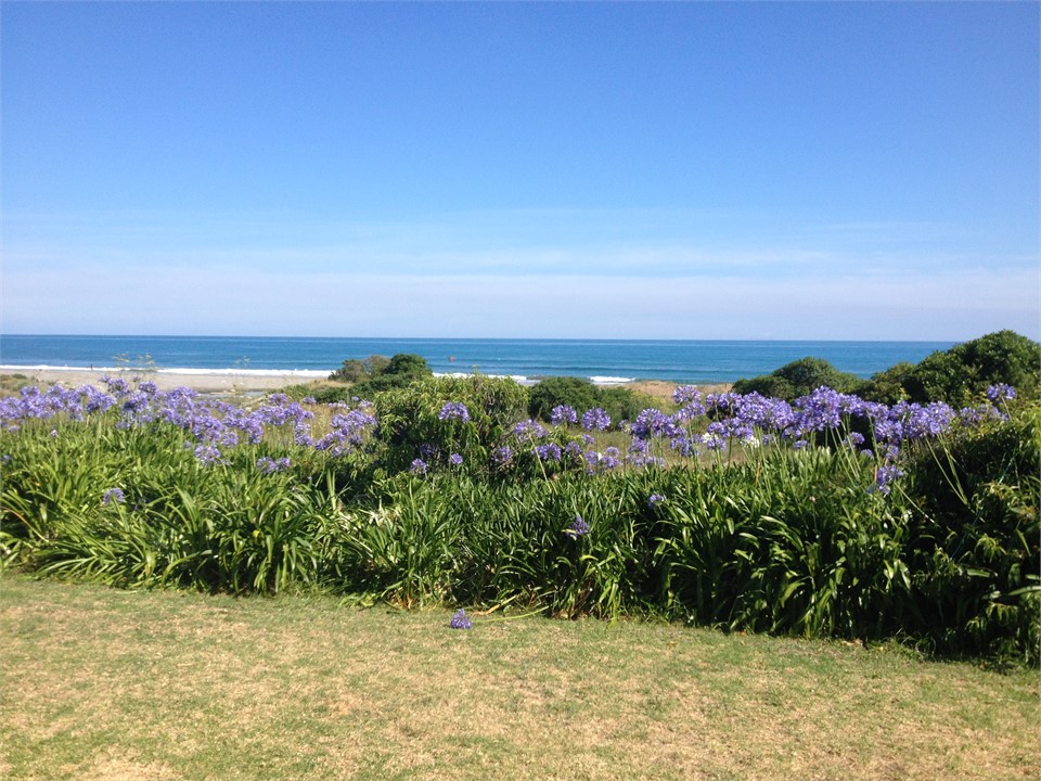 View from veranda looking out to White Island