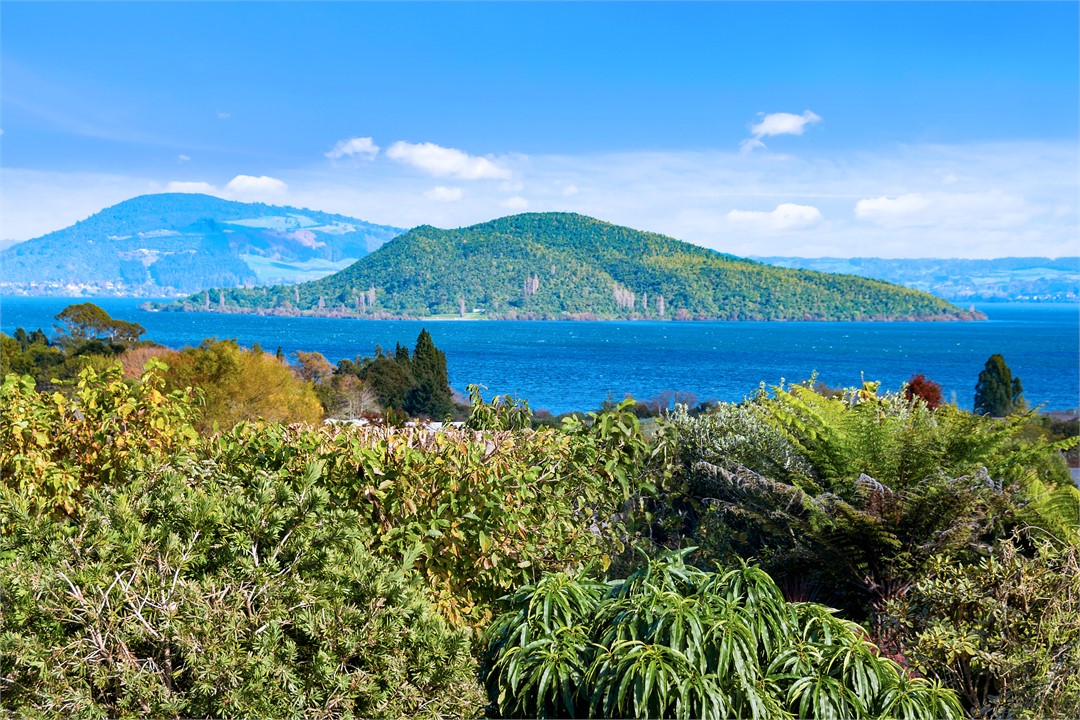 180 degree Lake View