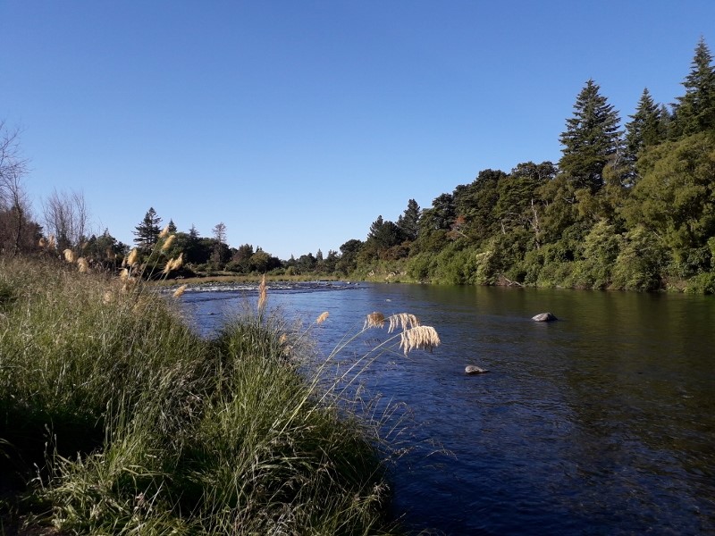 Tongariro River