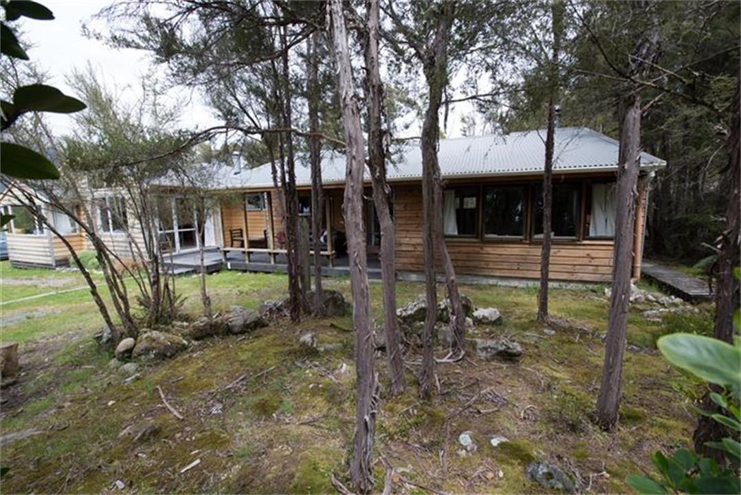 View of house through bush