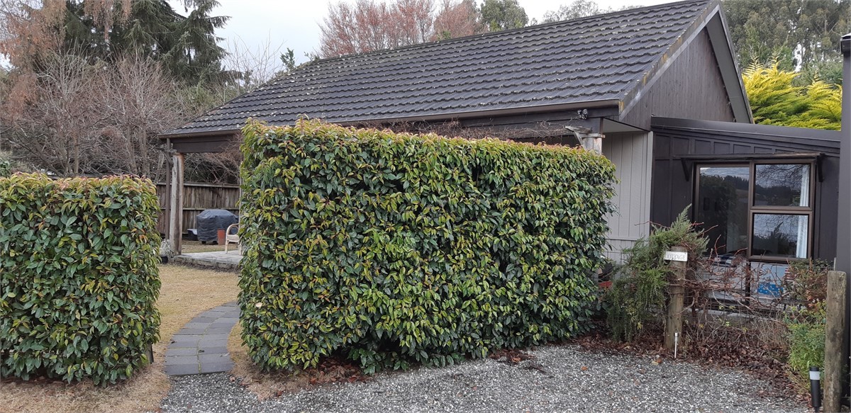 Parking beside cottage hedge