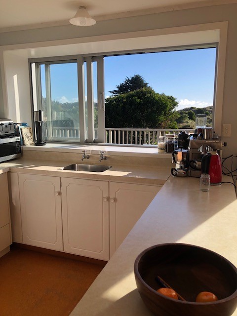 Kitchen window with a view