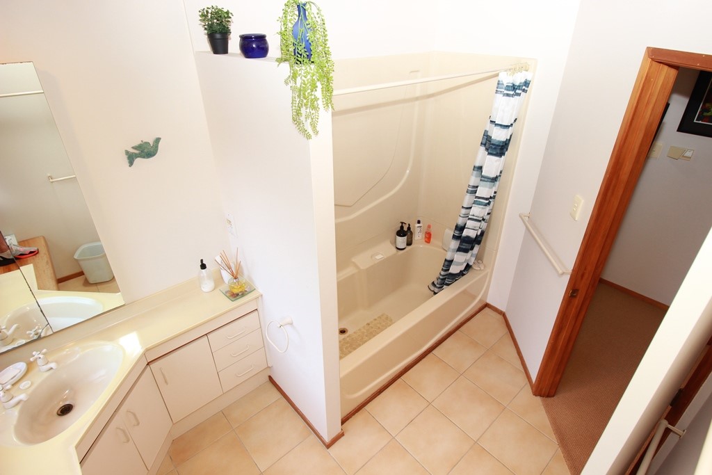 Bathroom shower over bath