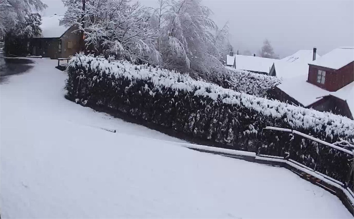 August 7 2022 snowfall