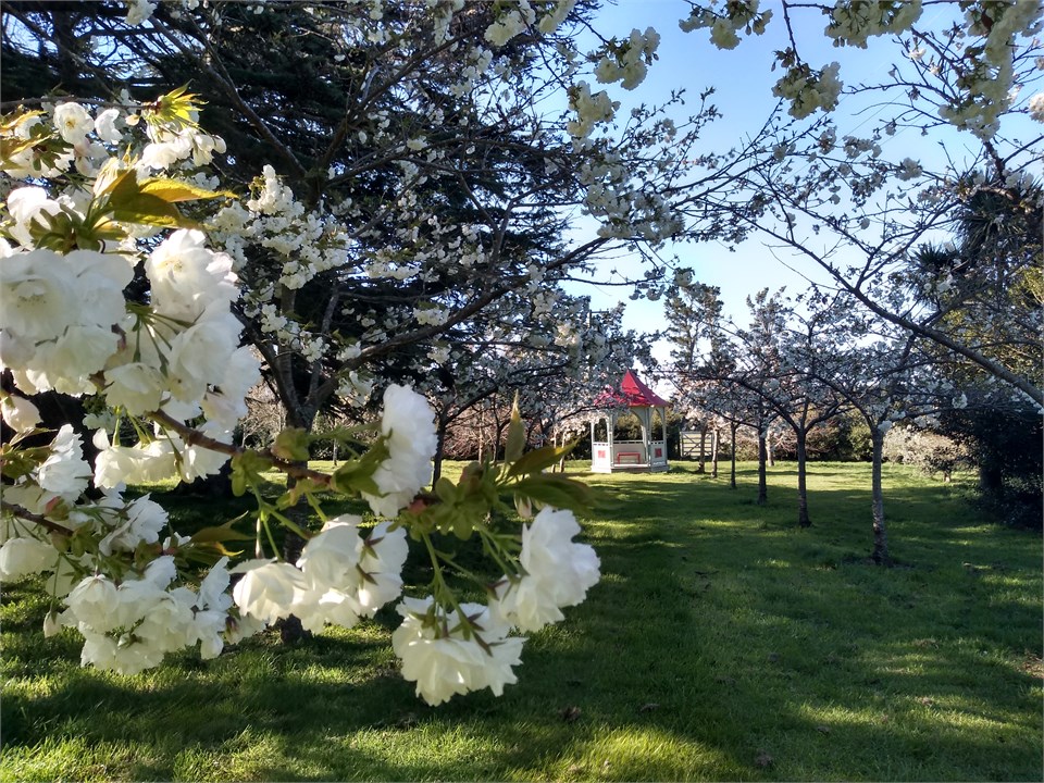 springtime at Gunyah