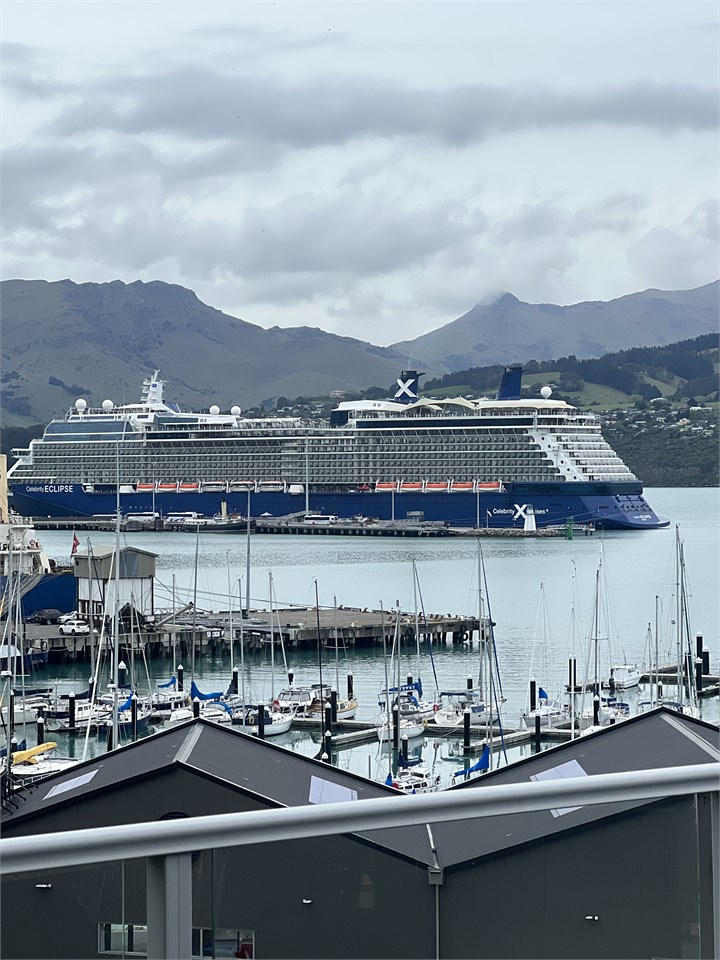 Watch the Cruise ships come and go