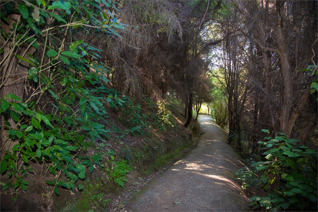 Walking track 50 metres from both the bottom and u