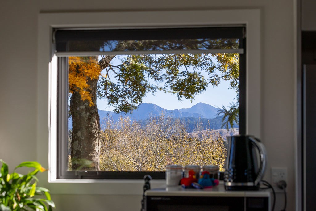 View out kitchen window