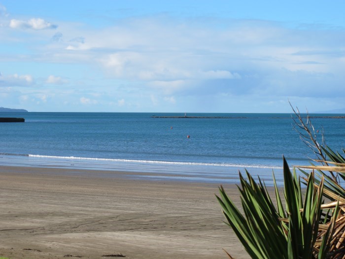 Browns Bay Beach 2 mins walk away