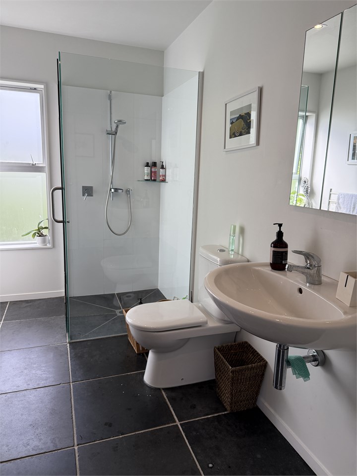 Down stairs bathroom