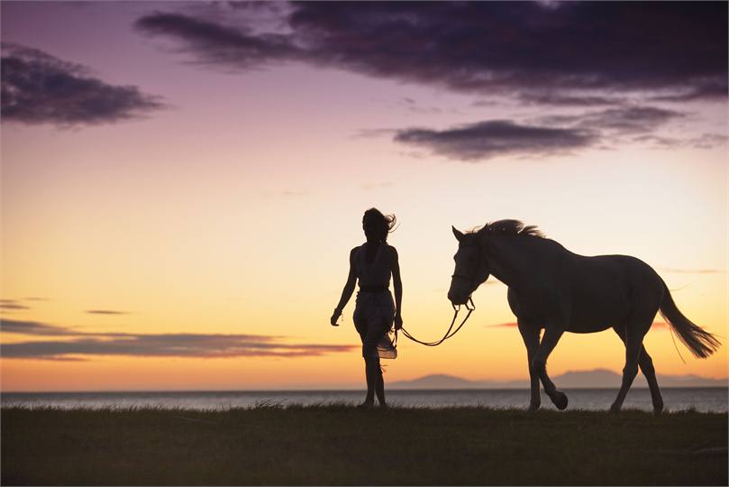 Sunset at Paripuma - Horses are welcome