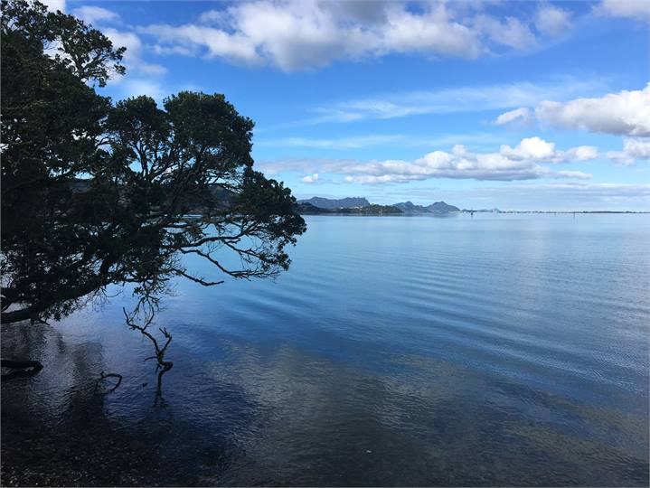 A short stroll along the road