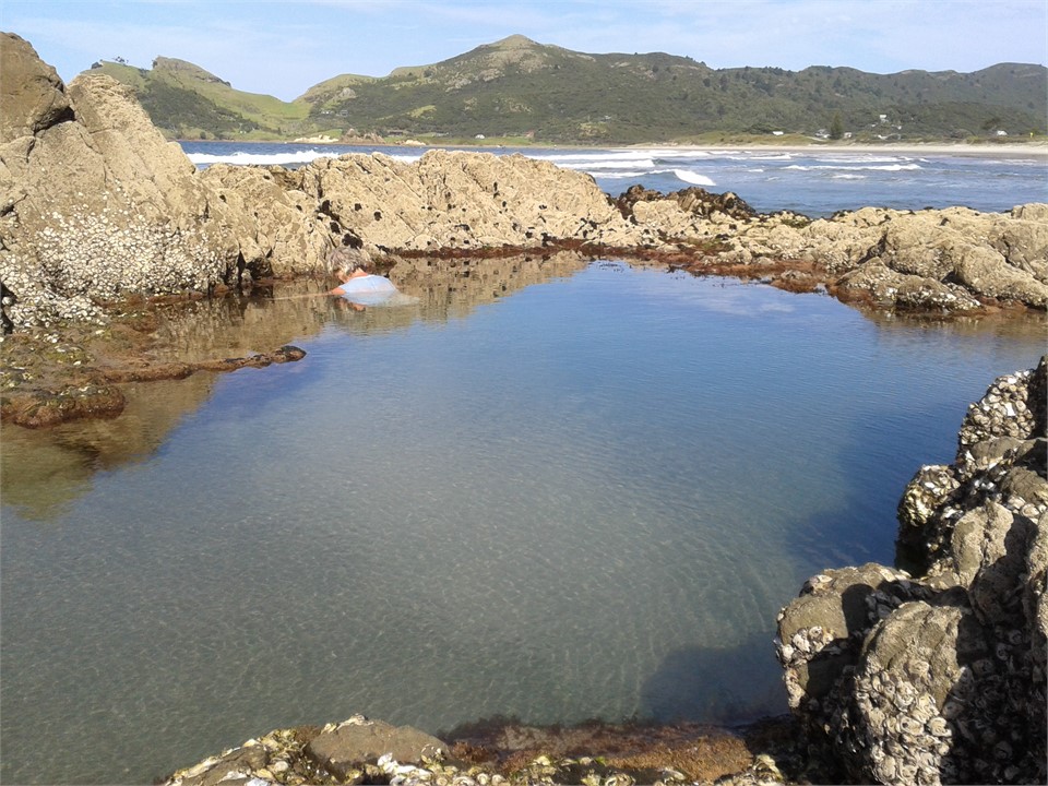 Rock Pool at Medlands Beach